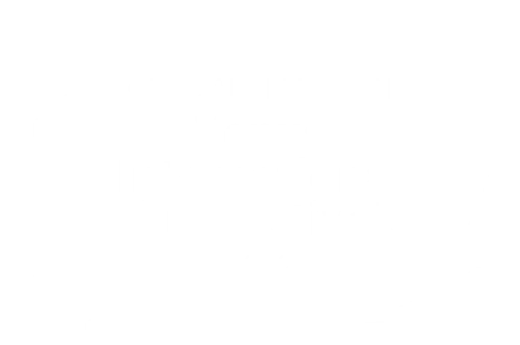 Venus International Film-Festivals 2022 Award logo